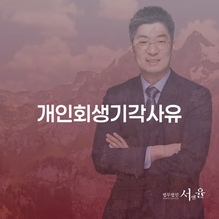면책확인의소 개인회생 제도 체크리스트