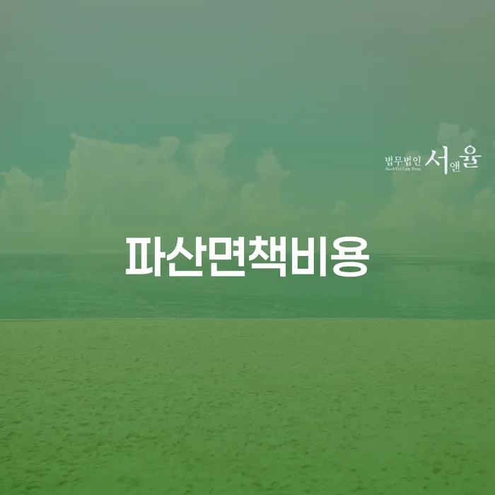 개인회생 법무사 비용 싸고 개인회생 상담을통해