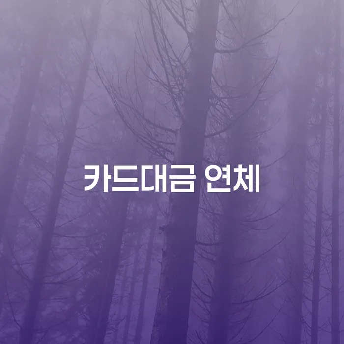 개인회생개인파산 채무조정제도을 이용하여 결정나고