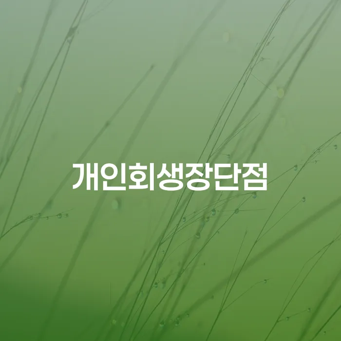 파산신청절차 개인회생으로 현명하게 추천하는 변호사