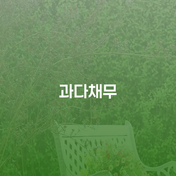 개인회생변호사추천 개인회생,개인파산으로 최신정보