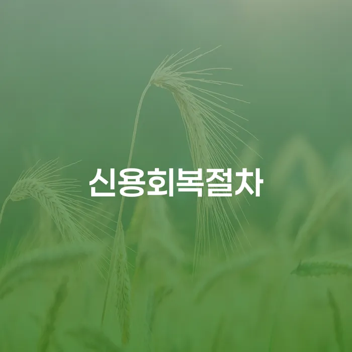 파산전문법무사 개인파산 무료상담진행