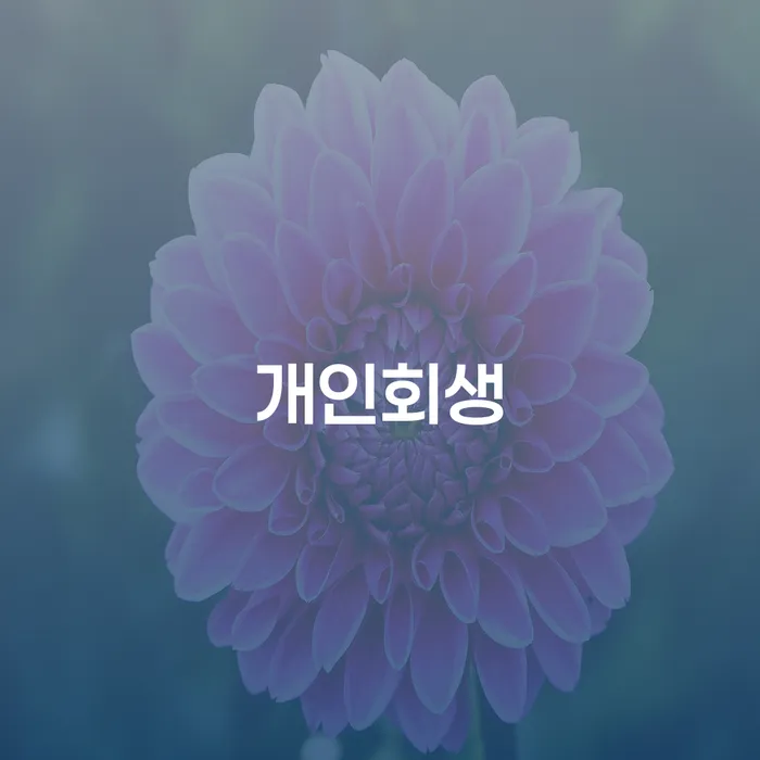 논현동 개인회생을 통한 채무 해결 방법