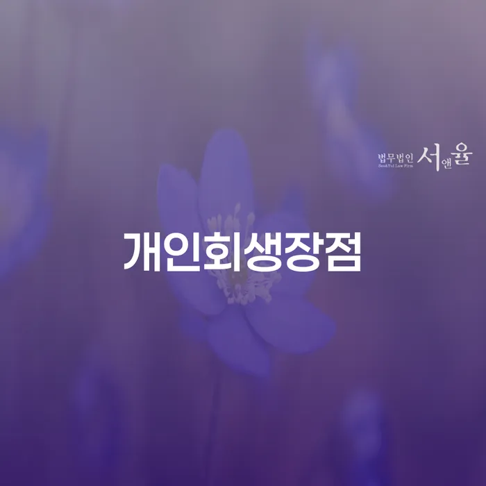 개인회생장점과 파산, 어떤 선택이 더 나을까요?