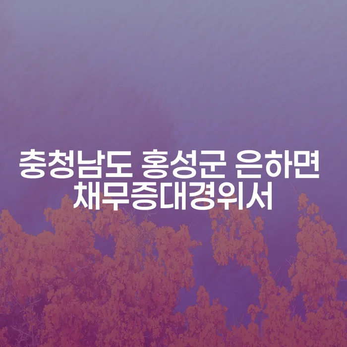 충청남도 홍성군 은하면 채무증대경위서, 당신의 경제적 자유를 위한 해결책은?
