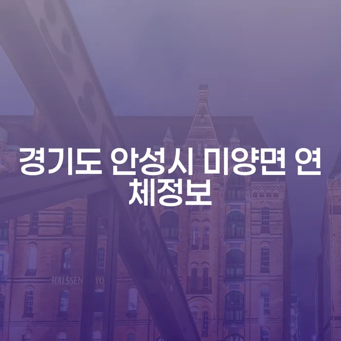 경기도 안성시 미양면 연체정보와 집담보대출연체 해결 방법은?