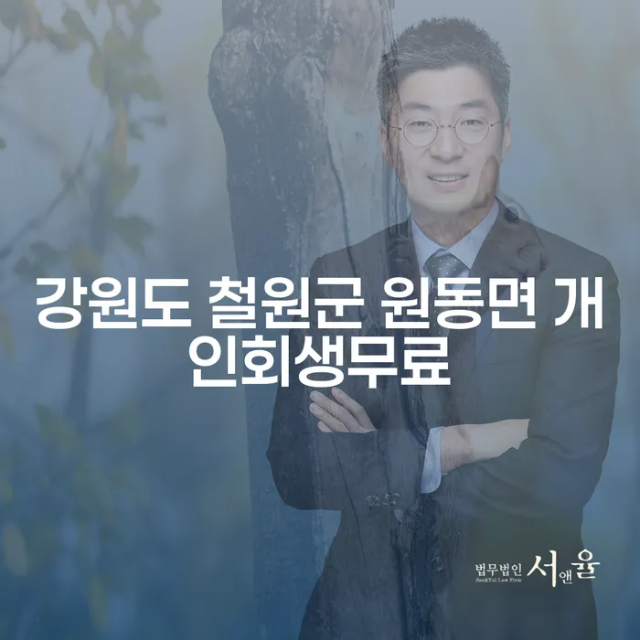 강원도 철원군 원동면에서 개인회생무료로 카드값 부담을 줄이는 방법은?