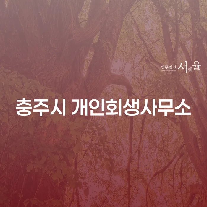 채무에서 벗어나는 방법: 개인회생과 개인파산의 차이점은?