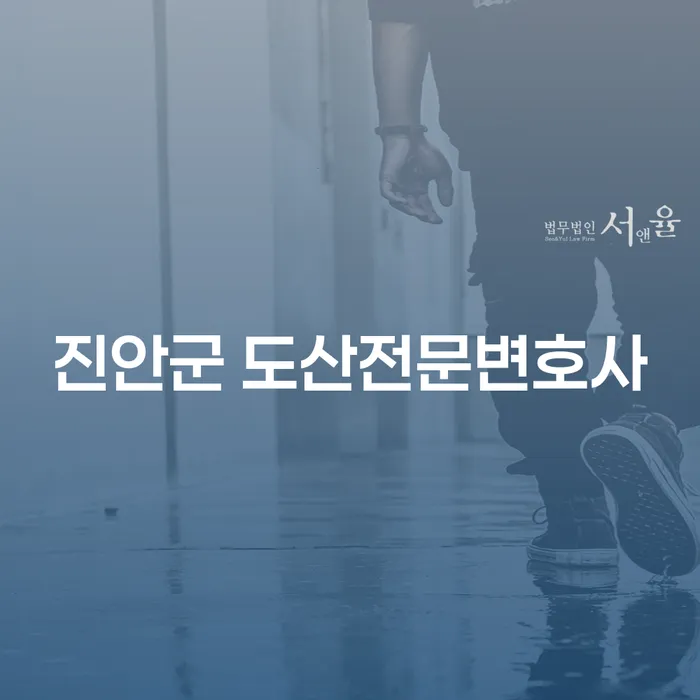 진안군에서 도산전문변호사를 찾아야 하는 이유는 무엇인가요?