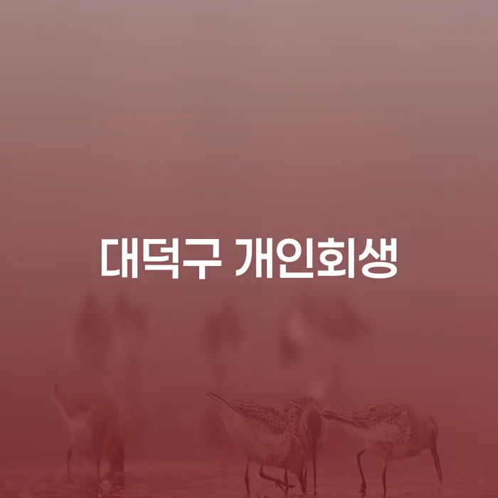 대덕구 개인회생과 원주시 개인회생: 채무의 무게를 덜어낼 수 있는 방법은?